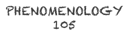 Phenomenology 105